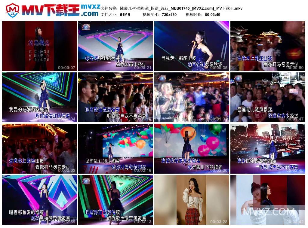 陆鑫儿-格桑梅朵_国语_流行_MEB01745